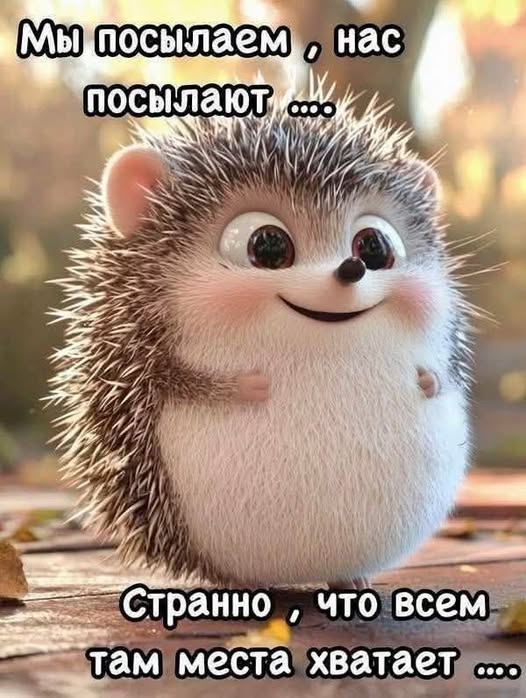 Картинки 28.10.25