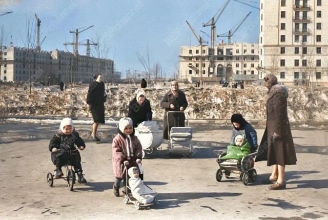 Повседневная жизнь Москвы 1950-х годов
