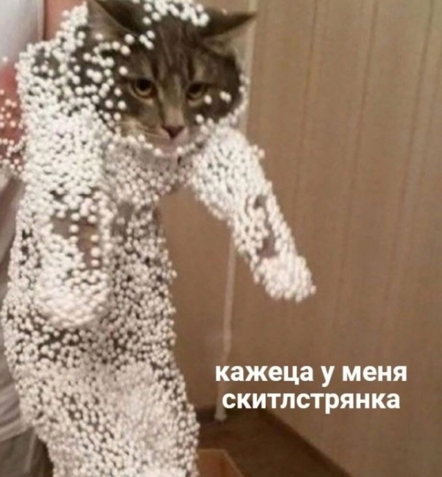 К котовторнику: подборка картинок-баянов с котиками и про котиков. Выпуск 27.