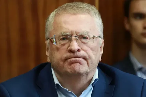 Продавцы искусственных ёлок на маркетплейсах хотят массово прекратить продажи за две недели до Нового года