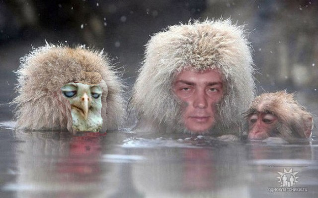 Как сделать красивые фотки без всякой нейронной фигни