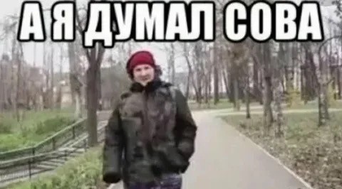 Спасли филина