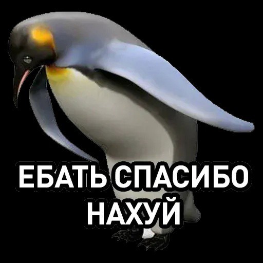 «Русская община» потребовала проверить магазин в Бузулуке из-за плаката с ироничным призывом «поблагодарить за повышение цен в 2026 году» человека с плаката