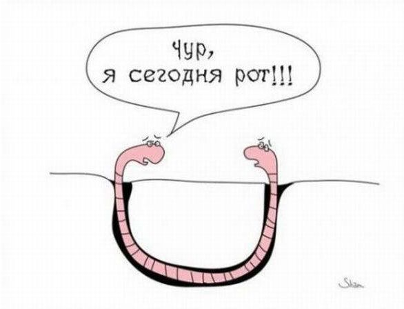 Картиночки, баянчики 24 января