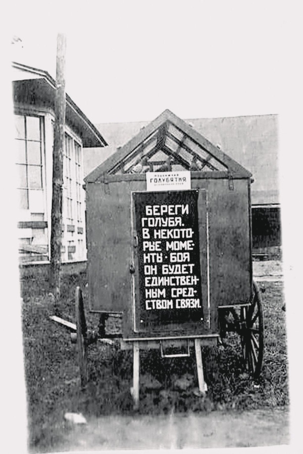 Фотографии из прошлого нашей страны – 134