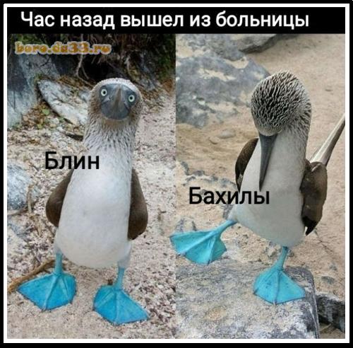 В Госдуме предложили отказаться от бахил в больницах