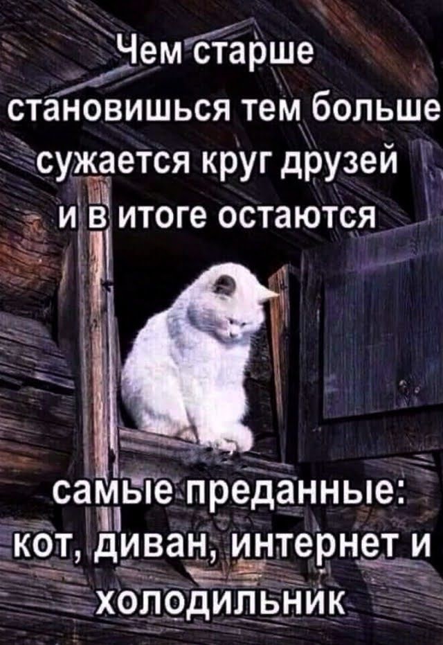 Картинки для деградации 173 (разной степени свежести)
