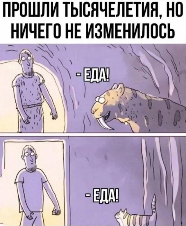 Картиночки, баянчики 26 июня