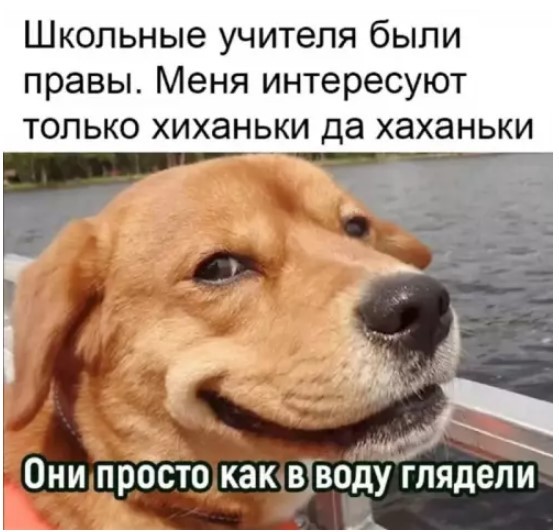Картиночки, баянчики 27 июня