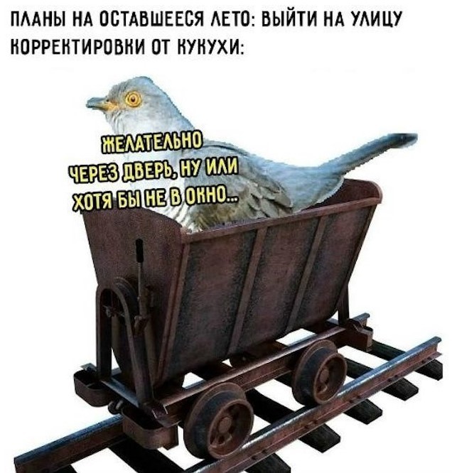 Картиночки, баянчики 29 июня