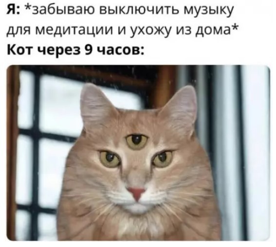 К котовторнику: подборка картинок-баянов с котиками и про котиков. Выпуск 42.