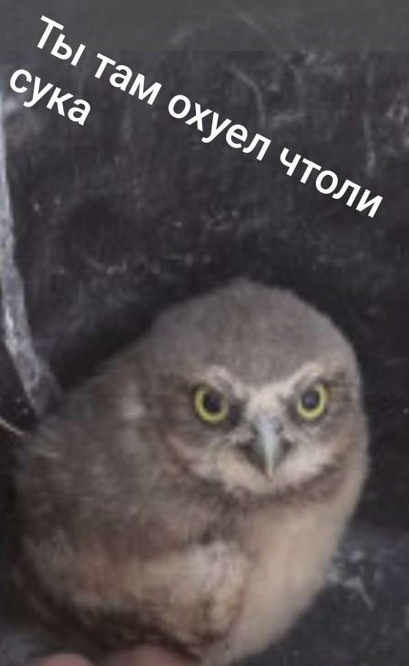 Посчитали и взвесили
