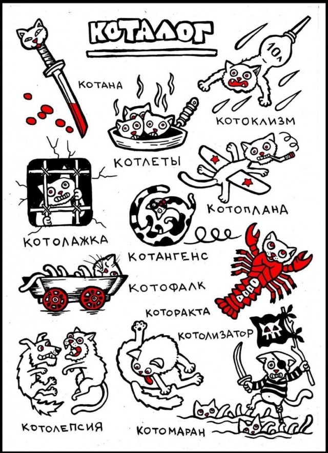 Дадим котику имя, коллеги?