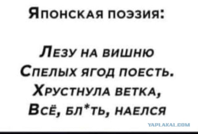 Понаблюдаем-Профи из ЮАР