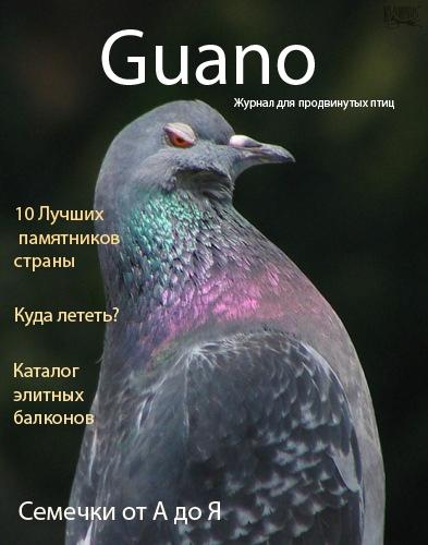 Журнал для продвинутых птиц