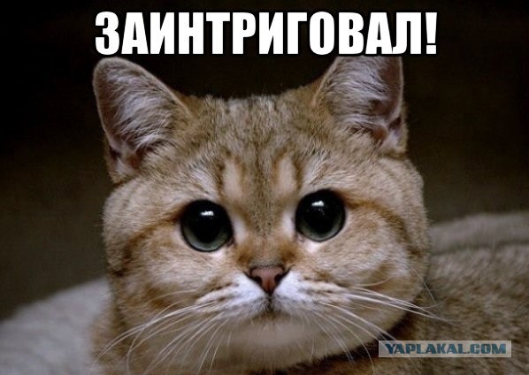 Азаров остановил процесс евроинтеграции