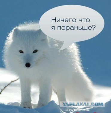 Америке грозит катастрофа
