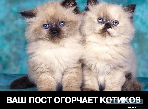 Юго-Восток. Вести с полей боя