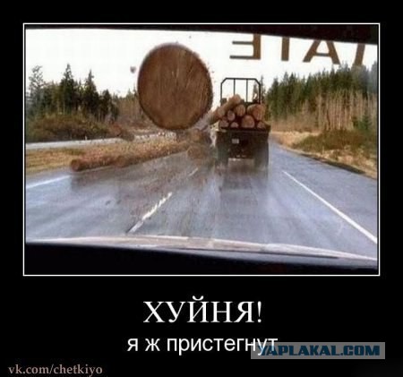 Смешные картинки и комментарии