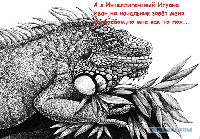 Алфавит