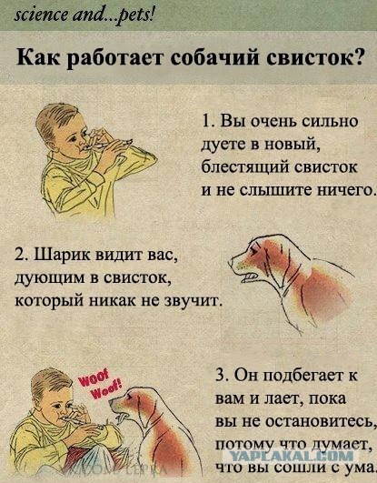 Подборка картинок