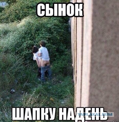 Подборка весёлых картинок