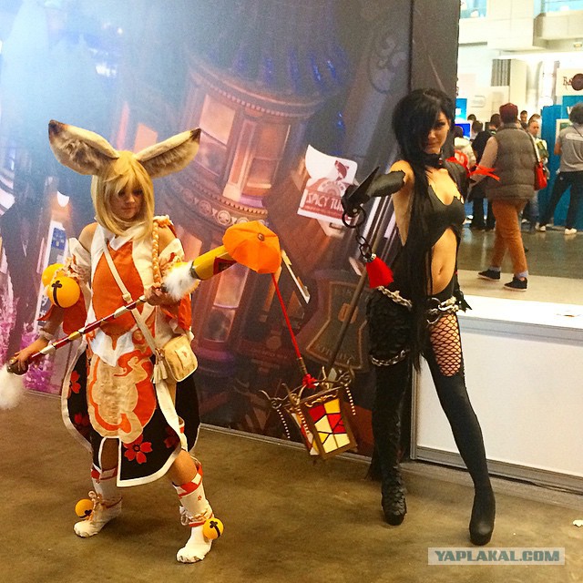 Comic Con 2014