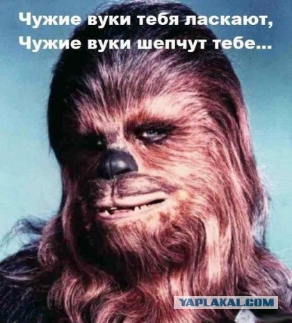 "Спроси меня о моих вуки"