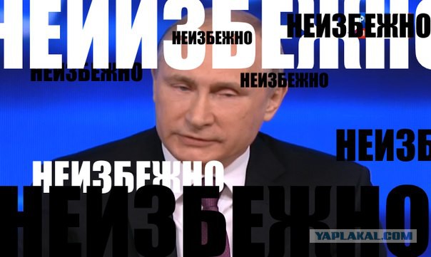 Прямая трансляция большой пресс-конференции Путина