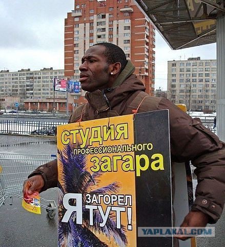 Весёлое из сети