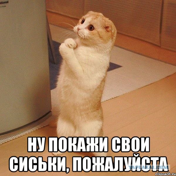 Немного радости для глаз и ушей