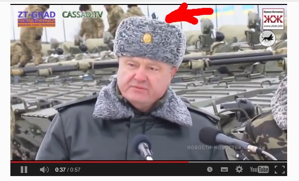 Вся суть перемирий