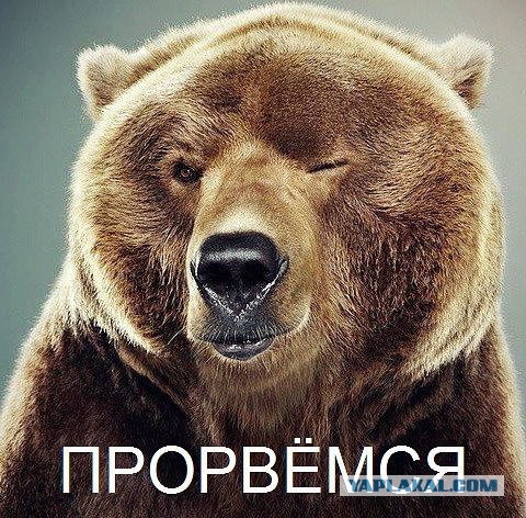 Дорисуй сам
