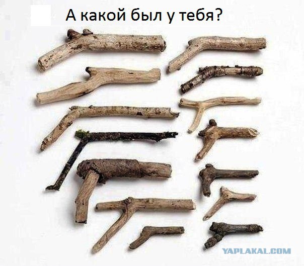 Мы веселились как могли