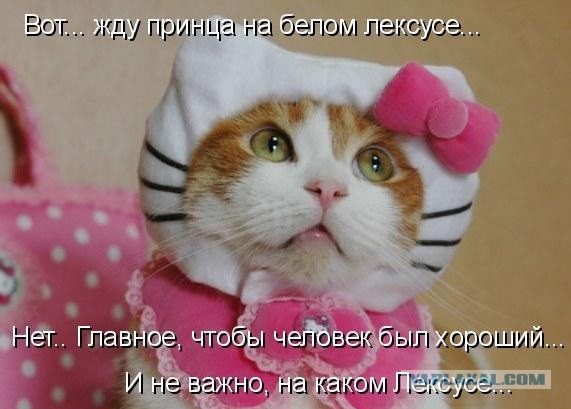 Веселые картинки на пятницу