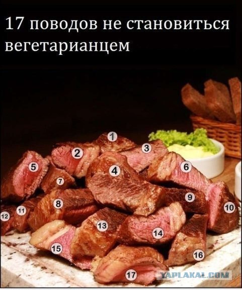 Вегетарианство