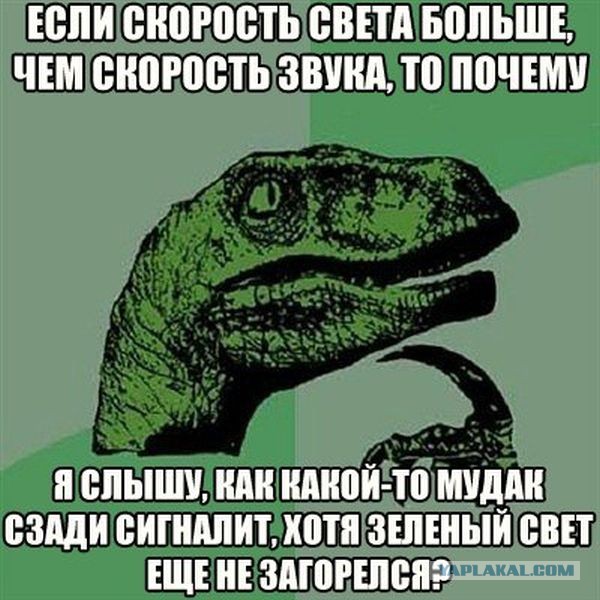 5346243.jpg