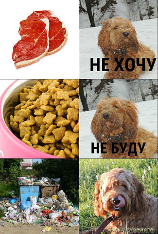 Зоошизе на заметку