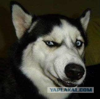 Один из моих рабочих дней