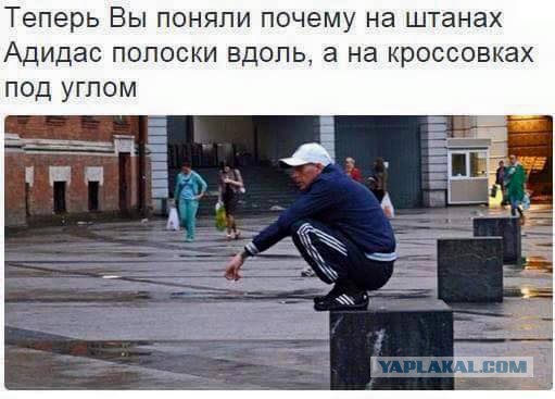 Ужасы и приколы из соцсетей 18+