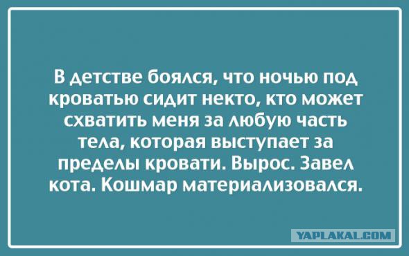 Цитаты из нашей жизни