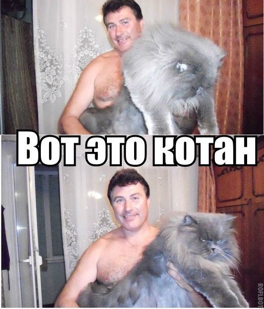 Подборка прикольных фото на пятницу