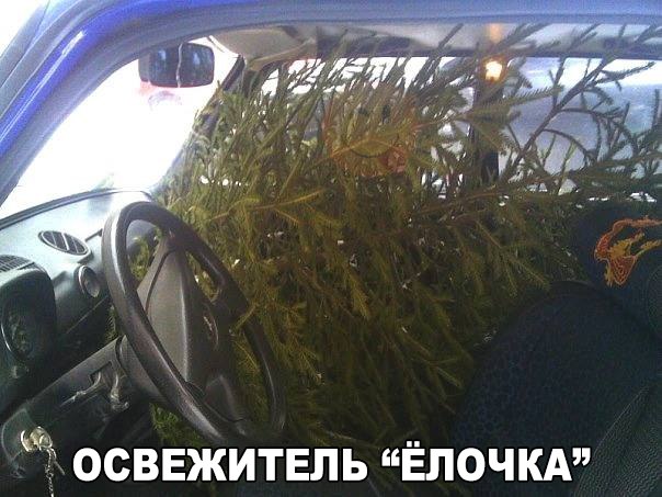 Забавные картинки из Сети