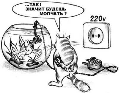 Аквариум?