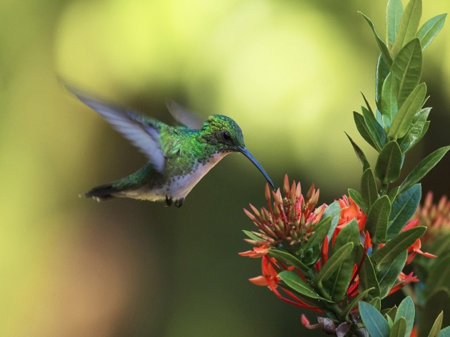 Подборка картинок 24.02.16