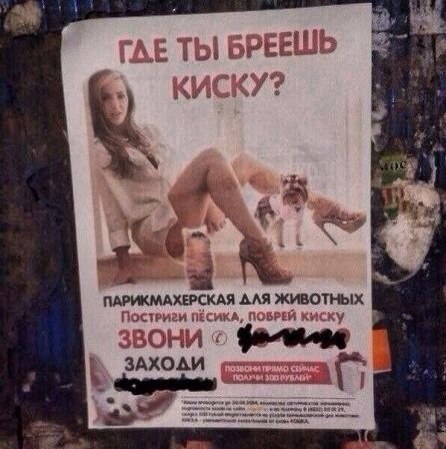 Ужасы и приколы из соцсетей 18+