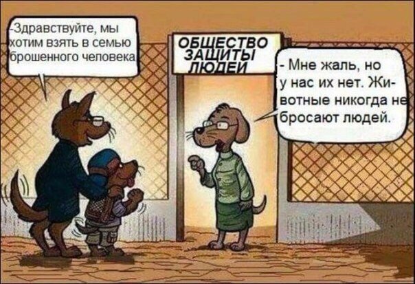 Подборка интересных и веселых картинок