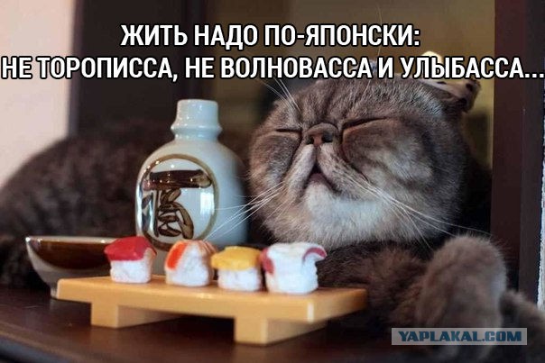 Подборка картинок