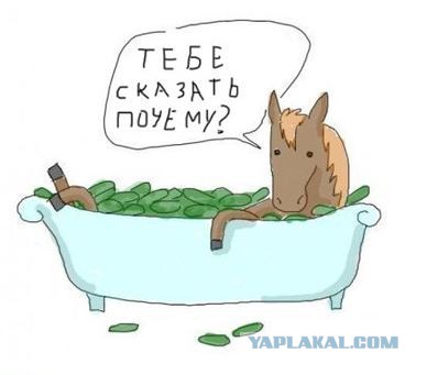 Подборка странных снимков из серии "Что тут, черт возьми, происходит?!"