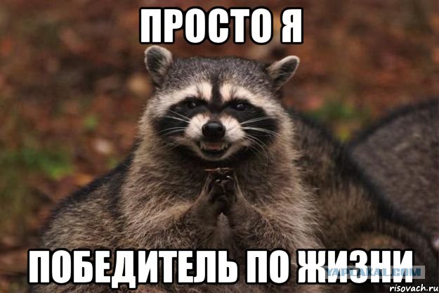 Разборка с енотом